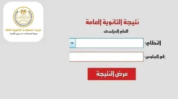 من هنا.. رابط نتيجة الثانوية العامة 2024 برقم الجلوس والاسم عبر موقع الوزارة الرسمي 