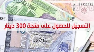 خطوات وشروط التسجيل الإلكتروني للحصول على منحة 300 دينار تونس 2024