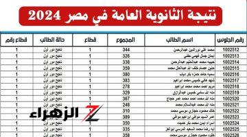 محدش جاب 100% والأوائل من هذه المحافظات.. مفاجآت مدوية في نتيجة الثانوية العامة 2024