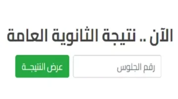 الأن.. رسميًا رابط نتيجة الثانوية العامة 2024 بعد اعتمادها برقم الجلوس والاسم 