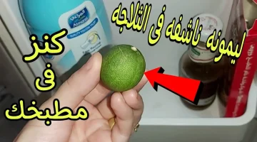 ياريتني عرفتها من زمان!!.. خليكي ناصحة بنصف ليمونة ناشفة هاتلمعي بيتك كله بهذه الطريقة السحرية