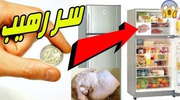 سر رهيب.. هل تعلم لماذا يجب وضع عملة معدنية في الثلاجة؟