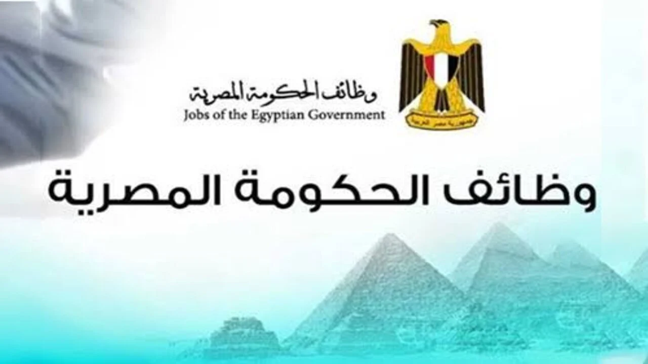 فرصة بمرتبات مجزية.. الحكومة تكشف عن وظائف جديدة لخريجي الكليات والدبلومات