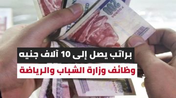 «مطلوب موظفين حتى 38 عام».. الشباب والرياضة تعلن عن وظائف شاغرة للذكور والأناث| هتقبض فوق الـ 10 آلاف جنيه