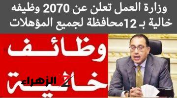 “أكثر من 12 محافظة تفتح أبوابها لك! آلاف الوظائف الشاغرة في وزارة العمل بانتظارك.. تقدم الآن واحصل على الوظيفة المناسبة لك!”