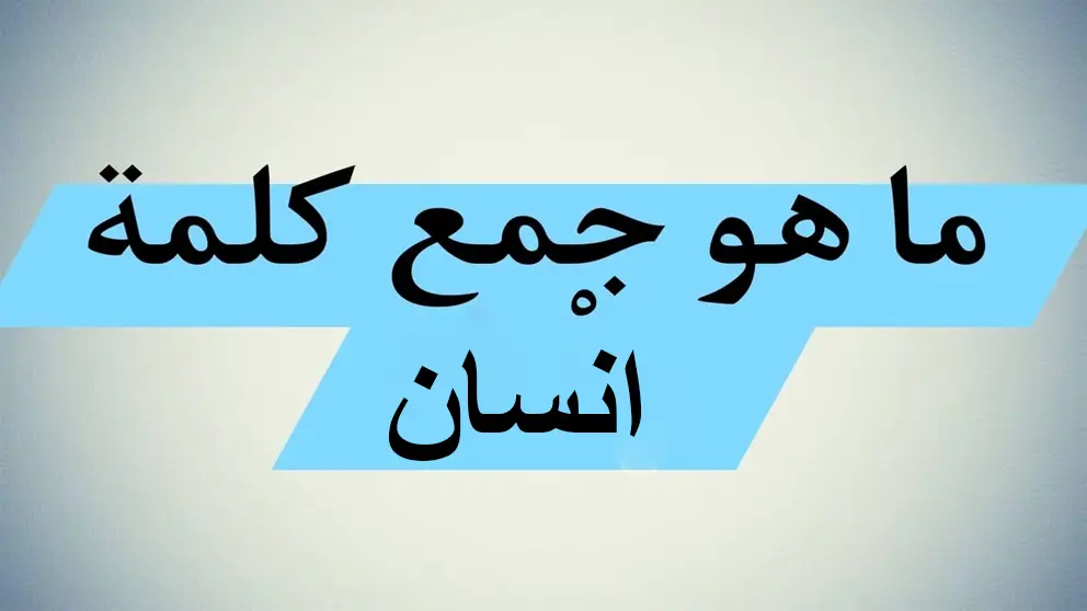 حيرت الطلاب وجننت المعلمين .. اكتشف "إجابة" سؤال ما هو جمع كلمة إنسان الذي  أبكت الكثير من الطلاب في الثانوية العامة؟ .. أتحداك تعرفها - بوابة الزهراء  الإخبارية