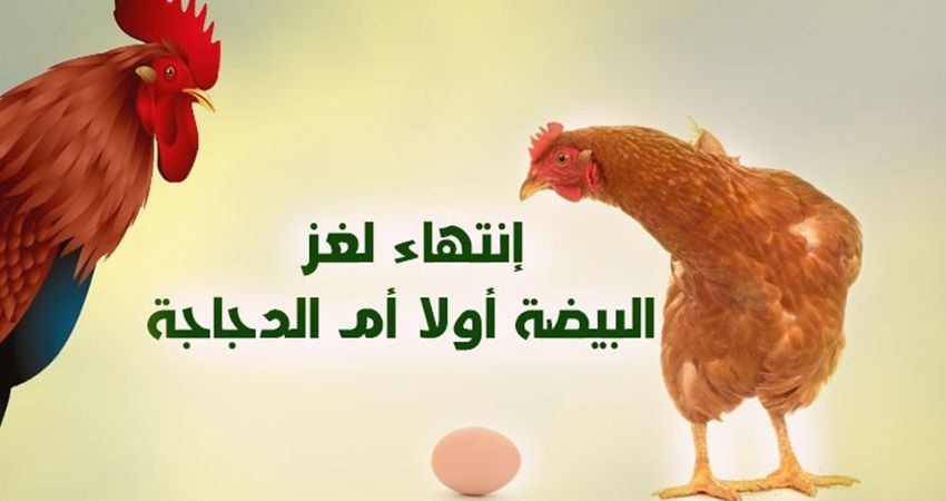 أيهما جاء أولاً.. البيضة أم الدجاجة؟.. أخيراً العلماء تجيب عن السؤال المثير للجدل!! - بوابة الزهراء الإخبارية