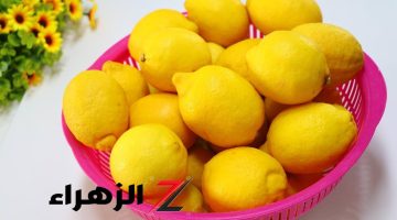 ولا تخطر علي بال الجن الأزرق!! احتفظي بالليمون طازج طوال العام! طرق عبقرية لتخزينه في الثلاجة