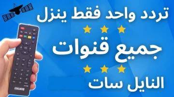 بضغطة زر واحدة.. طريقة سريعة لتنزيل جميع قنوات نايل سات بتردد واحد