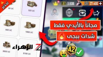 «احصل على 16200 شدة بضغطة زر».. خطوات شحن شدات PUBG MOBILE 2024 عبر ID من خلال الموقع الرسمي