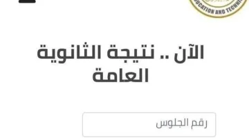 نتيجة الثانوية العامة 2024 الدور الثاني.. كل ما تريد معرفته عن موعد الإعلان ورابط الاستعلام