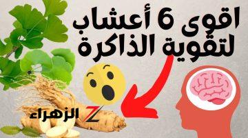 “لاهتبقى زهقان ولا حيران ولا هتعاني من النسيان”!!!…عشبة معجزة لعلاج النسيان .. جرب العشبه الجبارة عشان ذاكرة حديد!!!