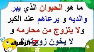 معجزة ربانية أذهلت العالم .. حيوان خطير يعيش في الصحراء لا يتزوج إلا مرة واحدة ويبر والديه أكثر من البشر .. لن تصدق من يكون؟؟