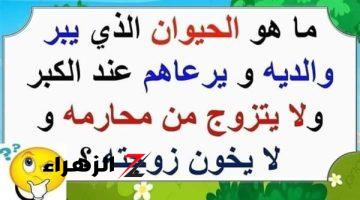 معجزة حيرت الجميع… ما هو الحيوان الذي يبر والديه ويرعاهم عند الكبر ولا يتزوج من محارمه ولا يخون زوجته؟… هتتصدم لما تعرفه!!