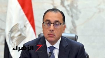 علشان مترجعش تعيط.. قرار هام وعاجل من الحكومة بتوقيع غرامة 50 ألف جنيه عند استخدام «واتساب» في هذه الحالة