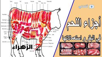 كيفية اختيار قطعة اللحم المناسبة لكل أكلة من الأضحية وأسماء قطع لحم الذبيحة