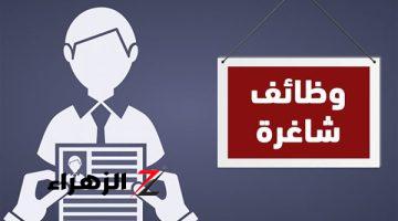 “وظائف جديدة في الحكومة”.. فرص شغل مميزة لخريجي الكليات دي | الشروط والأوراق المطلوبة