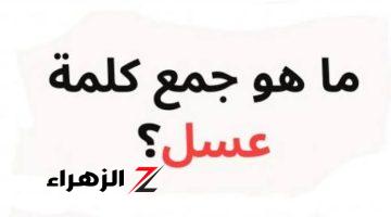 للعباقرة فقط .. ما هي الإجابة الصحيحة لجمع كلمة ” عسل ” في اللغة العربية .. السؤال حير جميع طلاب الثانوية