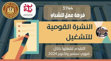 «وظائف بالكووم».. وزارة العمل تعلن عن 3744 فرصة عمل جديدة في 13 محافظة لجميع المؤهلات| قدم بسرعة