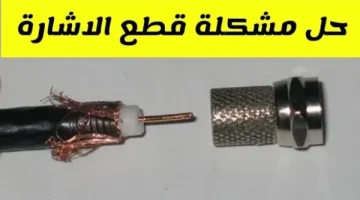 طول عمرك بتركبيها غلط ..! الطريقة الصحيحة لتركيب صامولة الدش بكل احترافية وحل مشكلة قطع الإشارة وتلف الريسيفر..