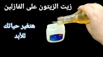 “دلعي جوزك بجمالك”.. معجزة الفازلين وزيت الزيتون ضعيها بهذه الطريقة قبل النوم لمدة 7 ايام وشوفي الفرق المذهل!!