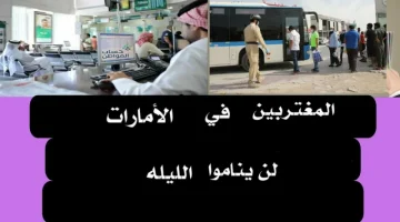 “لم حاجتك وارجع على بلدك فورا” .. رسميا الامارات تعلن عن ترحيل المغتربين المصريين من اراضيها في أقرب فرصة .. السبب صادم بكل المقاييس!!!