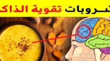 “علشان مترجعش تشتكي من النسيان”.. وداعا للنسيان هدية ربانية من الله لعباده: اقضي على النسيان نهائياً من اول يوم معجزة حيرت الطب واذهلتهم .. هذه العشبه السحرية تقوي الذاكره جداً وتجعلها فولاذيه…تعرف عليها فوراً