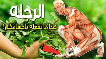 عشبة العجائب برائحة الجنة والتي أذهلت العالم.. نبات موجود بالقرب منك دون أن تعلم أنه يعيد اليك الشباب حتى لو العمر فوق الـ70 سنة!!