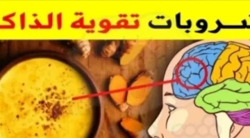 “وداعا للنسيان “.. اقضي على النسيان نهائياً من اول يوم معجزة حيرت الطب واذهلتهم .. هذه العشبه السحرية تقوي الذاكره جداً وتجعلها فولاذيه…تعرف عليها فوراً…تفاصيل!!