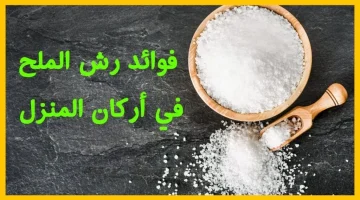 ومفيهاش هزار بجد !!! رش الملح على باب المنزل!! الخرافات والحقائق والفوائد العملية!!