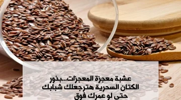 عشبة معجزة المعجزات.. !! نبته شهيرة تعيد لك شبابك ولو عمرك 70 سنة.. بذور الكتان خارقة المفعول كالسحر تعيد شبابك مرة تانية..!