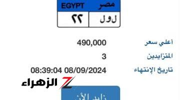 3 مزايدين على لوحة “ل و ل- 22” المميزة وسعرها يقترب من نصف مليون جنيه