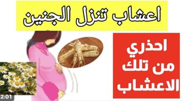 لو هتموتي اوعي تقربي منها .. أعشاب موجوده في مطبخك تتسبب في اجهاض الجنين واسقاط الحمل احذري منها فورًا..!!!