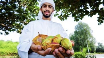 “حول الفاكهة الي ذهب” .. مزارع من سوريا يبتكر مشروع زراعي مهم يكسب منه ذهبًا .. نقل تجربته من السعودية ليحقق نجاحًا باهرًا لن تتوقعه