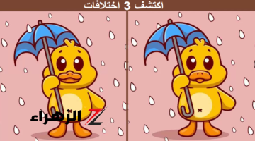 لو حريف هتحلها بسرعة!!.. اكشف 3 اختلافات في الصورة.. اذا كنت من ذوي قوة الملاحظة وسرعة البديهة ستكشف سر اللغز في 10 ثواني