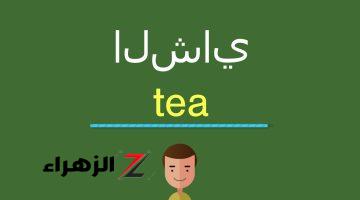 “سؤال أبكى الملايين.. ما هو جمع كلمه “شاي” في اللغة العربية دكتور جامعي يجيب.. 5% فقط اللي عرفو الإجابة!!!