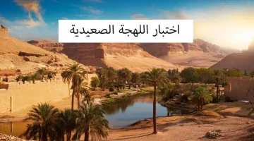 اختبار اللهجة الصعيدية | يلا ابدأ شوف هتجيب كام في الاختبار .. اضغط هنا