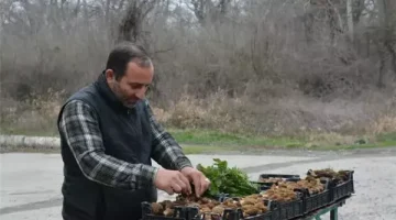 “كنز من كنوز الدنيا” زراعة فطر الغوشنة فرصة استثمارية مربحة في منزلك !! هتبهرك!