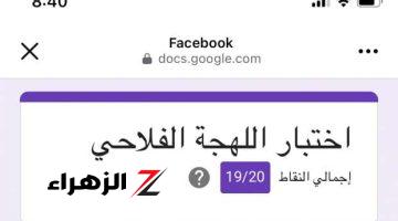 ما هو اختبار الفلاح!!.. وما الغرض الحقيقي من اختبار اللهجة الفلاحي المنتشر على «فيسبوك».. جبت كام من 20؟ .. هتندم ندم عمرك لو دخلت عليه