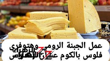 هتعمليها للعيال لزوم المدارس!!.. أسهل طريقة عمل الجبنة الرومي في البيت بكل سهولة بمكونات اقتصادية بطعم احلى من الجاهز وفري فلوسك