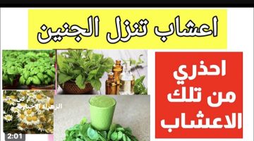 لو هتموتي اوعي تقربي منها .. عشبه موجوده في مطبخك تتسبب في اجهاض الجنين واسقاط الحمل احذري منها فورًا..!