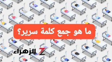 “للي عندهم ذكاء خارق: هتقدر تعرف الجمع الصحيح لكلمة سرير؟ الإجابة هتفاجئك!”