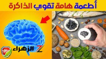 «ضاع عمرنا واحنا بننسي».. هذه الطرق للتذكر وزيادة الذكاء فقط اتبعها وستصبح ذاكرتك أقوى بثلاثة مرات!!