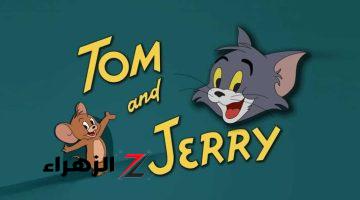 مغامرات القط والفار.. تردد قناة توم وجيري TOM and JERRY احلي كرتون للاطفال بجوده عالية وبدون تقطيع