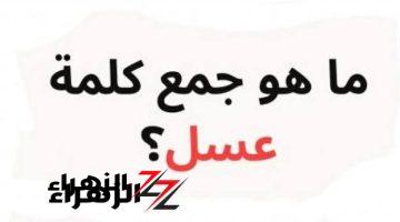 “لغز حير عباقرة اللغة في مصر”.. ما هو جمع كلمة عسل في اللغة العربية.. سؤال عيط بسببه ملايين الطلاب في الثانوية العامة!!