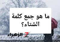 حتى الطلاب العباقرة محتارين فيها..!! ما هو جمع كلمه «شتاء» في اللغة العربية؟؟ خبير لغوي يصدمهم بالإجابة الصحيحة .. أتحداك تعرف تحلها لوحدك