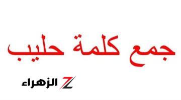 حيرت ملايين الطلاب.. جمع كلمة حليب في اللغة العربية التي أثارت الجدل بين الناس.. الإجابة صادمة للملايين!!