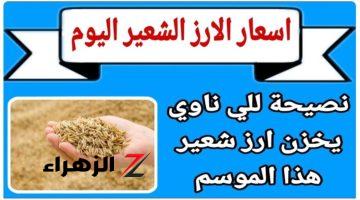 “بكام الكيلو النهارده؟!”.. سعر طن الأرز الشعير اليوم في الأسواق وسعر كيلو الأرز للمستهلك.. عشان محدش يضحك عليك!!