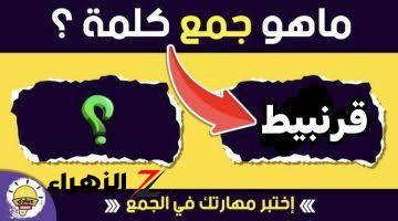 “الطلبة بيعيطو بسببها”.. ما هو جمع كلمة « قرنبيط » في اللغة العربية التي يتسائل عنها جميع الخبراء والطلاب.. اعرف الاجابة فورا!!