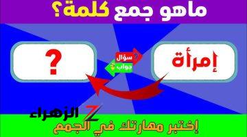 “الإجابة صدمت الجميع”.. لن تصدق ما هو جمع كلمة ” إمرأة ” في اللغة العربية .. الخبراء يجيبون!!